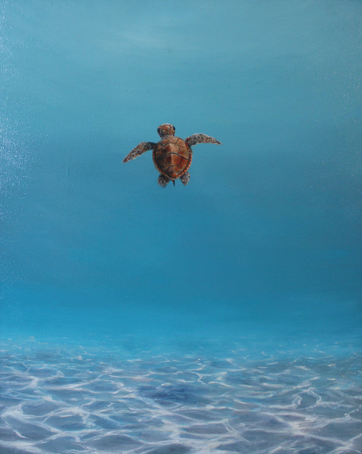 First Swim 2.0 - Original