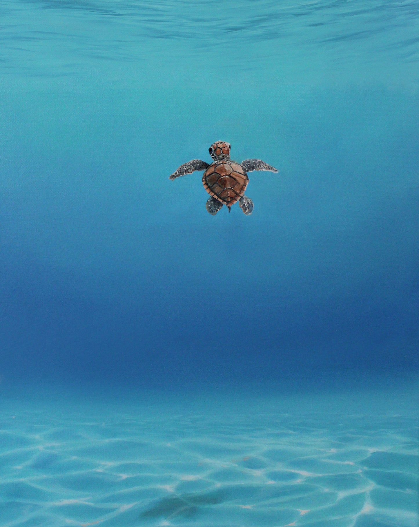 First Swim - Original