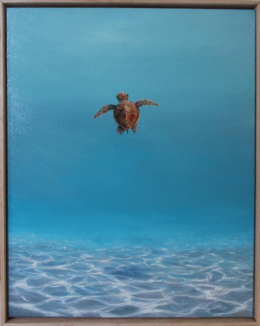 First Swim 2.0 - Original