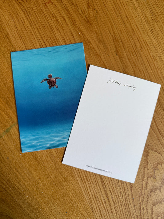 First Swim - 5 Pack of Cards