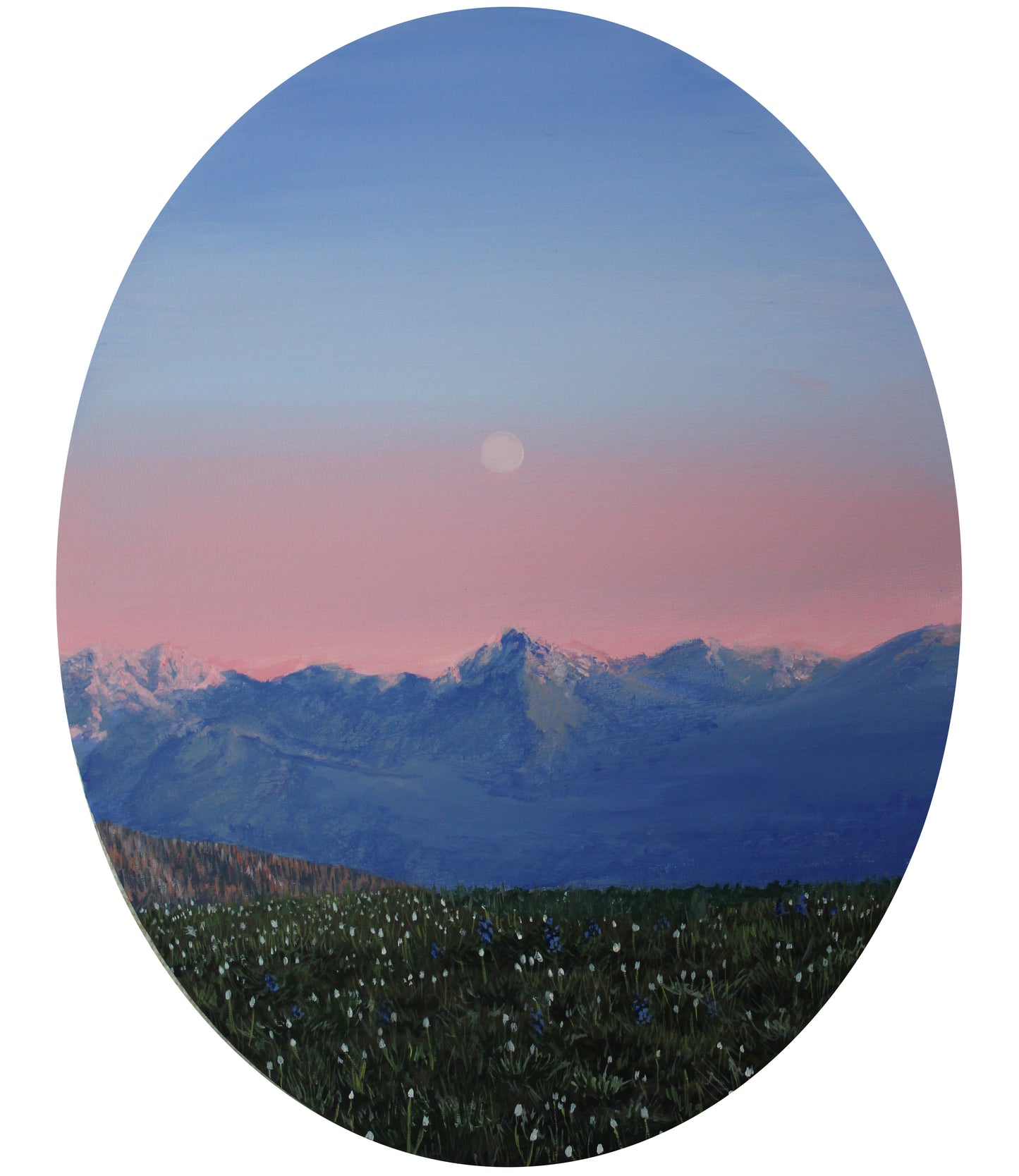 The Quiet Above