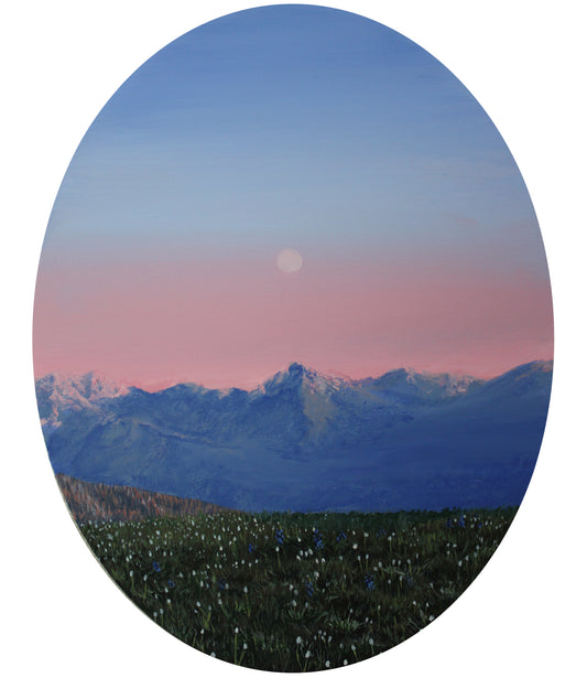 The Quiet Above